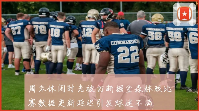 周末休闲时光被打断掘金森林狼比赛数据更新延迟引发球迷不满